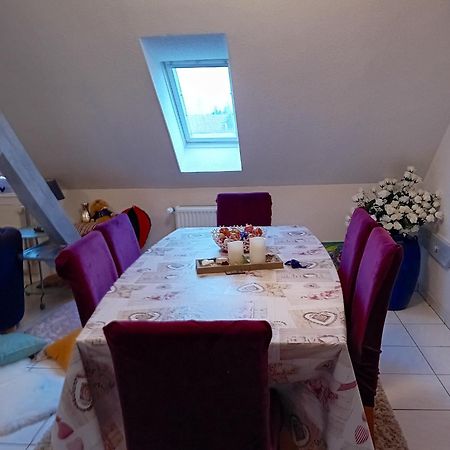 Appartement Spacieux A Ingersheim Avec Vue Sur Jardin 100 M² מראה חיצוני תמונה