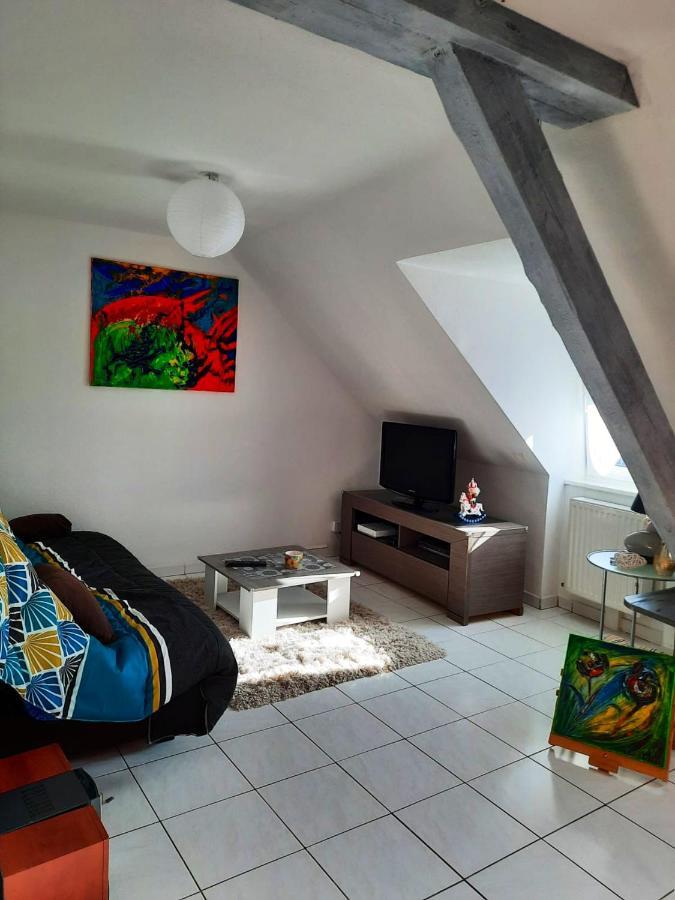 Appartement Spacieux A Ingersheim Avec Vue Sur Jardin 100 M² מראה חיצוני תמונה