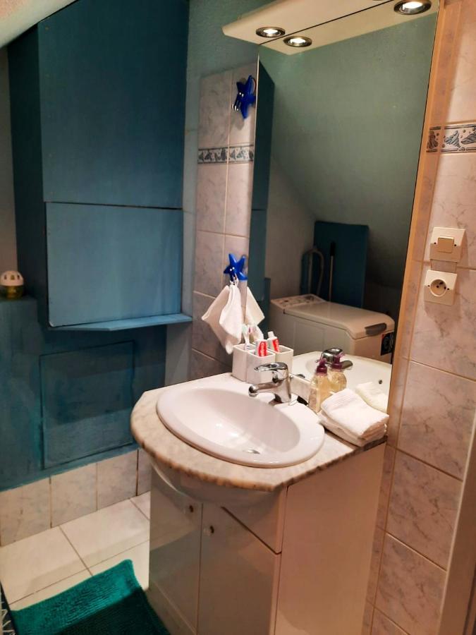 Appartement Spacieux A Ingersheim Avec Vue Sur Jardin 100 M² מראה חיצוני תמונה