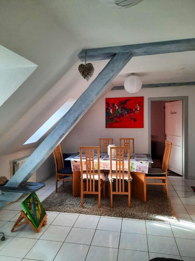 Appartement Spacieux A Ingersheim Avec Vue Sur Jardin 100 M² מראה חיצוני תמונה