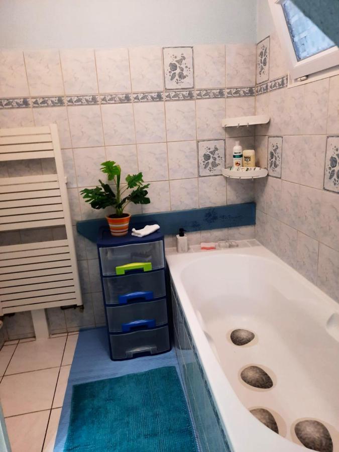 Appartement Spacieux A Ingersheim Avec Vue Sur Jardin 100 M² מראה חיצוני תמונה